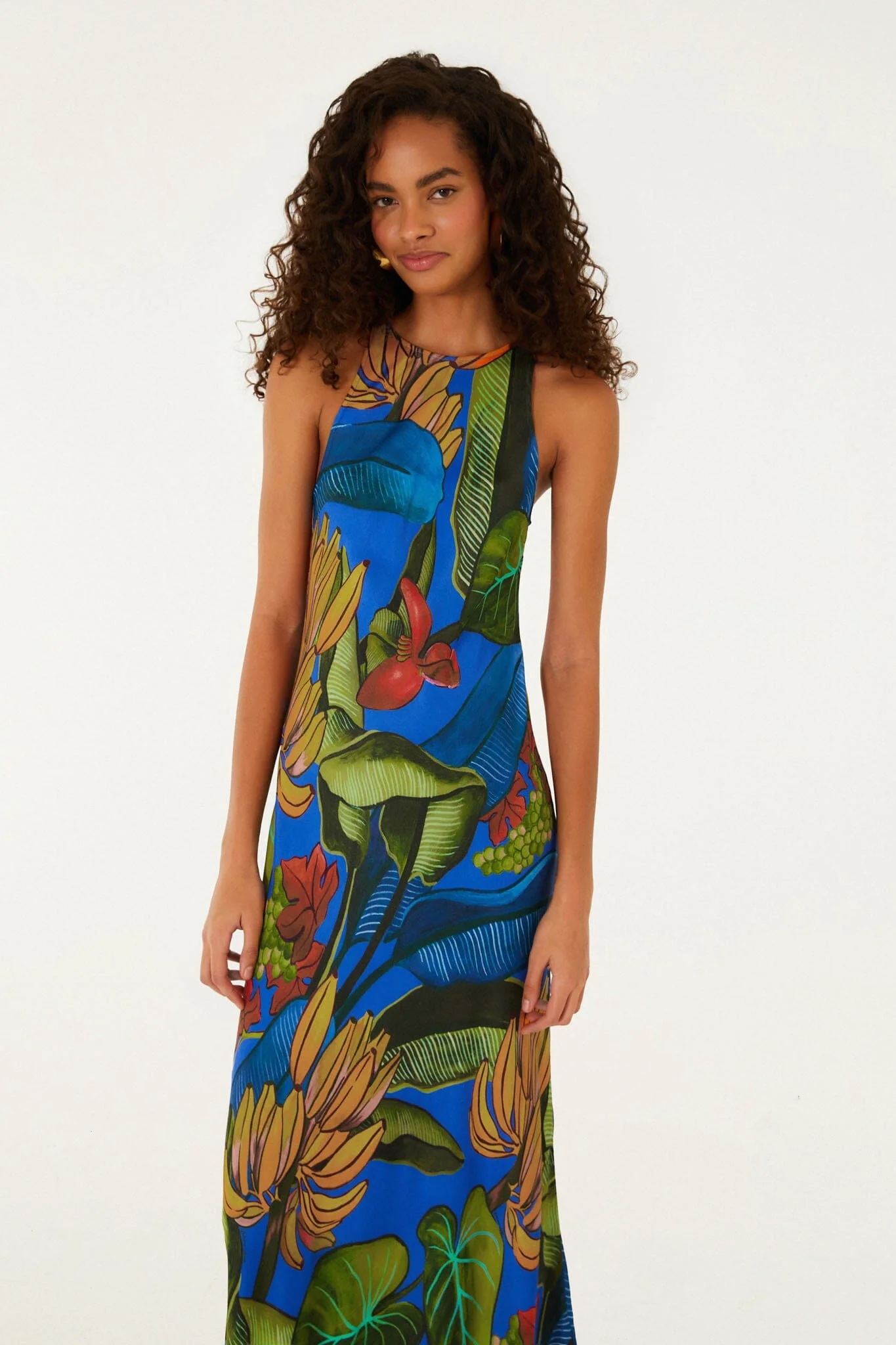 Blue Banana Grapes Sleeveless Maxi Dress - Image 4