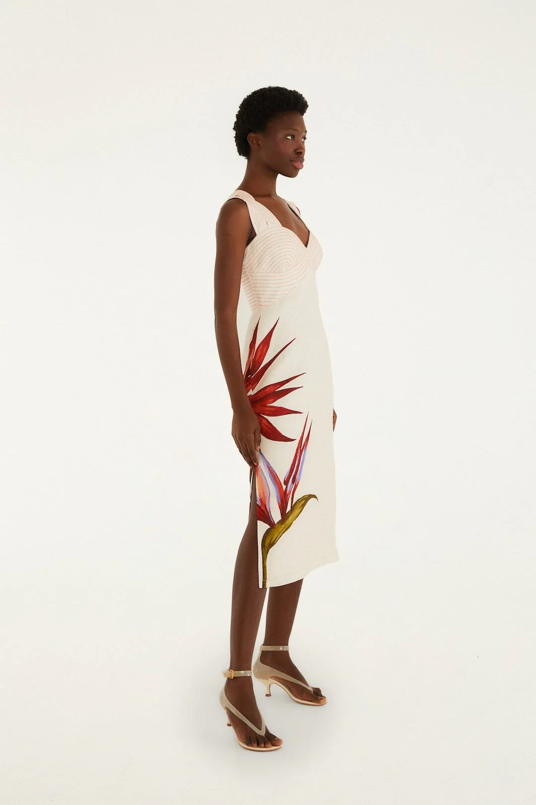 Sand Strelitzia Midi Dress - Image 4