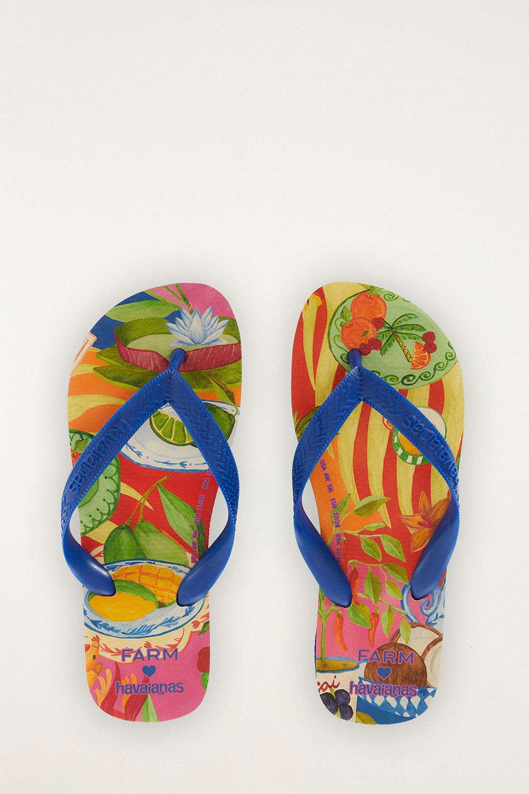 Multicolor Summer Picnic Havaianas