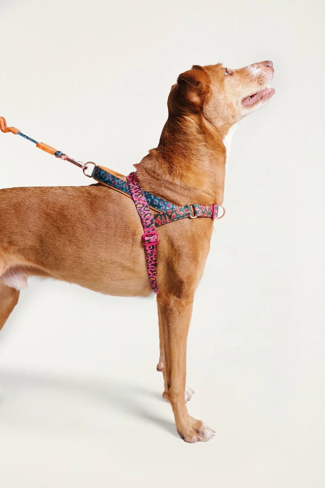 Zeedog Farm Onca Softer Walk - Size L
